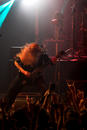 Amatory 