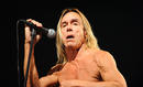 Iggy and the Stooges 