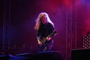 Saxon 