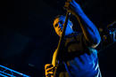 Animals as Leaders 