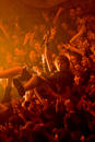 Amatory 