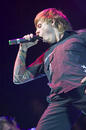 Amatory 