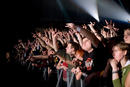 Amatory 
