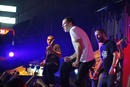 Despised Icon 