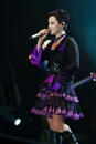 The Cranberries 