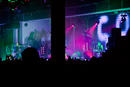 Guano Apes 