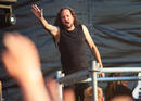 Korn 