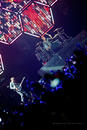 Muse 