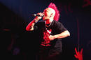 The Exploited 
