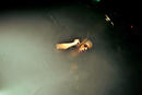 A Skylit Drive 