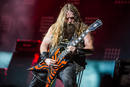 Zakk Wylde 