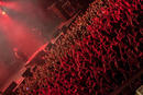 Papa Roach 