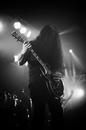 Primordial 