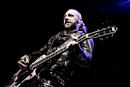 Backyard Babies 